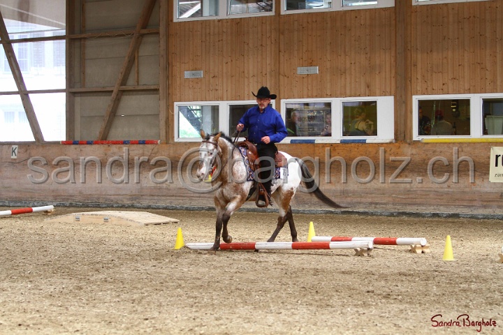 28-ApHC OT_238.jpg